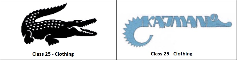 Trademark search